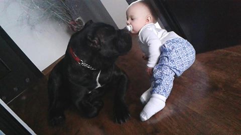 NEERA - miłość kwitnie 